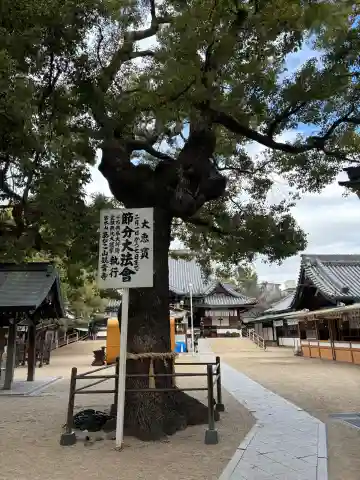 大聖観音寺(あびこ観音)の{uncategorized: "未分類", other: "その他", undefined: "問題あり", building: "その他建物", grave: "お墓", sacred_gate: "鳥居", guardian: "狛犬", statue: "像", buddha: "仏像", history: "歴史", nature: "自然", garden: "庭園", animal: "動物", pagoda: "塔", temizu: "手水舎", mountain_gate: "山門・神門", sanctuary: "本殿・本堂", subordinate: "末社・摂社", art: "芸術", scenery: "景色", jizo: "地蔵", ema: "絵馬", goshuin: "御朱印", omikuji: "おみくじ", items: "授与品その他", amulet: "お守り", goshuincho: "御朱印帳", eats: "食事", festival: "お祭り", votive_dance: "神楽", shichigosan: "七五三参", wedding: "結婚式", experience: "体験その他", initially: "初詣", around: "周辺", anti_infection: "感染症対策"}