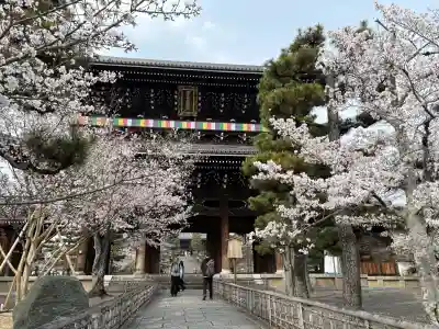 くろ谷 金戒光明寺(京都府)