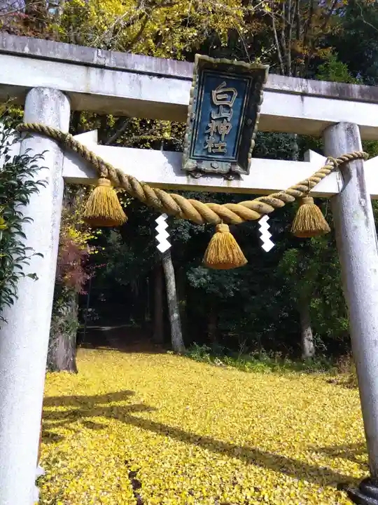白山神社(滋賀県)