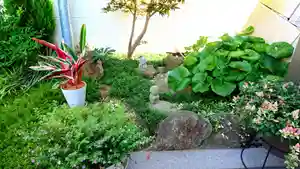 寿量山 速成寺の自然(2020年08月12日(水) 15時56分03秒投稿)