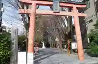 赤城神社の鳥居