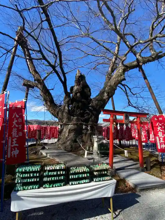秩父今宮神社の{uncategorized: "未分類", other: "その他", undefined: "問題あり", building: "その他建物", grave: "お墓", sacred_gate: "鳥居", guardian: "狛犬", statue: "像", buddha: "仏像", history: "歴史", nature: "自然", garden: "庭園", animal: "動物", pagoda: "塔", temizu: "手水舎", mountain_gate: "山門・神門", sanctuary: "本殿・本堂", subordinate: "末社・摂社", art: "芸術", scenery: "景色", jizo: "地蔵", ema: "絵馬", goshuin: "御朱印", omikuji: "おみくじ", items: "授与品その他", amulet: "お守り", goshuincho: "御朱印帳", eats: "食事", festival: "お祭り", votive_dance: "神楽", shichigosan: "七五三参", wedding: "結婚式", experience: "体験その他", initially: "初詣", around: "周辺", anti_infection: "感染症対策"}