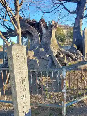 琴平神社(群馬県)