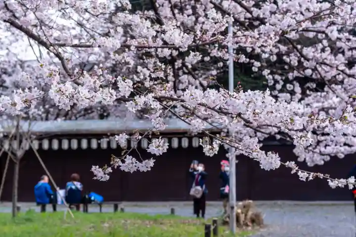 平野神社(京都府)