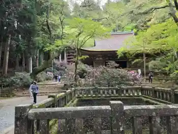 室生寺の御朱印 2026年04月