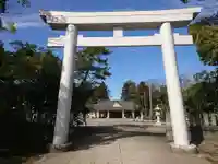 福井県護国神社の鳥居