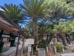 御香宮神社の自然