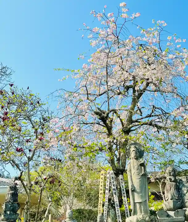 東光寺(田島町)の{uncategorized: "未分類", other: "その他", undefined: "問題あり", building: "その他建物", grave: "お墓", sacred_gate: "鳥居", guardian: "狛犬", statue: "像", buddha: "仏像", history: "歴史", nature: "自然", garden: "庭園", animal: "動物", pagoda: "塔", temizu: "手水舎", mountain_gate: "山門・神門", sanctuary: "本殿・本堂", subordinate: "末社・摂社", art: "芸術", scenery: "景色", jizo: "地蔵", ema: "絵馬", goshuin: "御朱印", omikuji: "おみくじ", items: "授与品その他", amulet: "お守り", goshuincho: "御朱印帳", eats: "食事", festival: "お祭り", votive_dance: "神楽", shichigosan: "七五三参", wedding: "結婚式", experience: "体験その他", initially: "初詣", around: "周辺", anti_infection: "感染症対策"}
