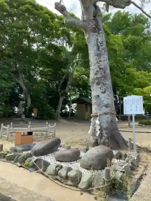 白子神社(千葉県)