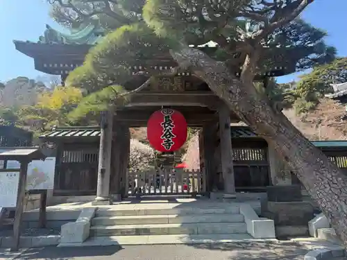 長谷寺の山門・神門