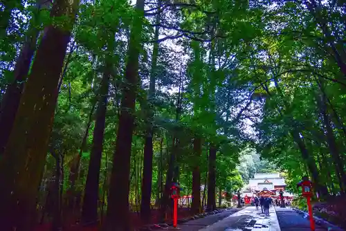 霧島神宮の建物その他