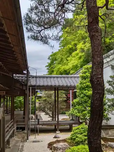 南禅寺の建物その他