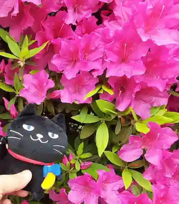 根津神社(東京都)