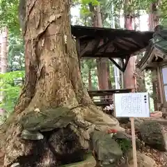 愛宕神社(秋田県)