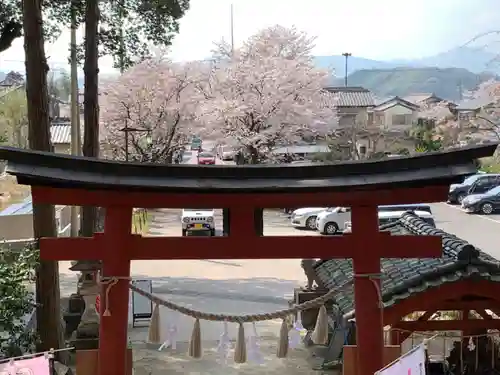 小幡八幡宮の鳥居