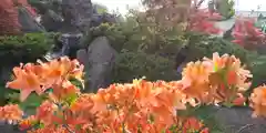 北海道護國神社の自然