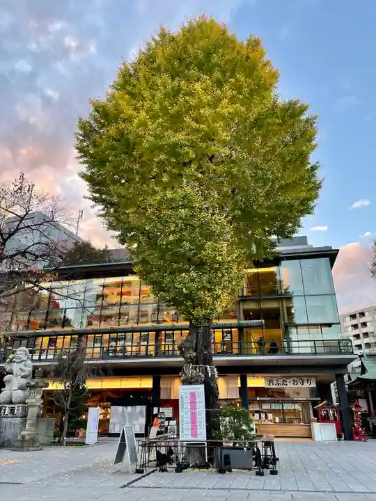 神田神社(神田明神)(東京都)