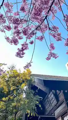 蔵前神社(東京都)