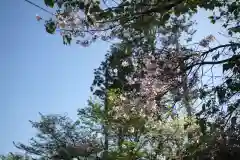 石和八幡宮(官知物部神社)の自然