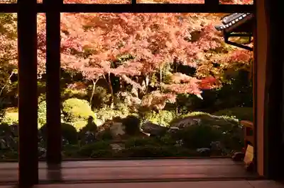 源光庵(京都府)