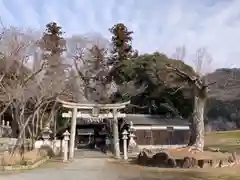 新宮八幡神社(兵庫県)