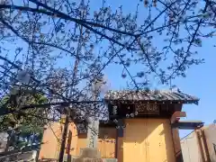 長泉寺(東京都)