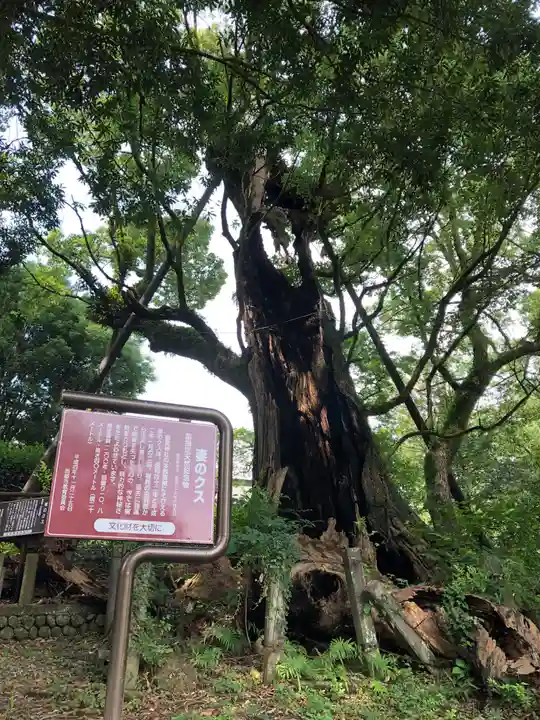 都萬神社の自然