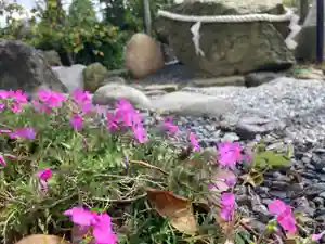 總社 和田八幡宮の自然(2021年04月19日(月) 18時37分58秒投稿)