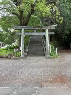 伊豆山神社の{uncategorized: "未分類", other: "その他", undefined: "問題あり", building: "その他建物", grave: "お墓", sacred_gate: "鳥居", guardian: "狛犬", statue: "像", buddha: "仏像", history: "歴史", nature: "自然", garden: "庭園", animal: "動物", pagoda: "塔", temizu: "手水舎", mountain_gate: "山門・神門", sanctuary: "本殿・本堂", subordinate: "末社・摂社", art: "芸術", scenery: "景色", jizo: "地蔵", ema: "絵馬", goshuin: "御朱印", omikuji: "おみくじ", items: "授与品その他", amulet: "お守り", goshuincho: "御朱印帳", eats: "食事", festival: "お祭り", votive_dance: "神楽", shichigosan: "七五三参", wedding: "結婚式", experience: "体験その他", initially: "初詣", around: "周辺", anti_infection: "感染症対策"}