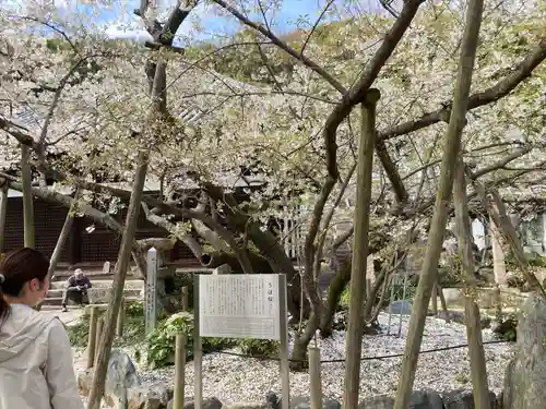 大宝寺の自然