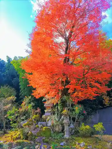 禅徳寺の末社