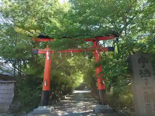 宇治上神社の鳥居