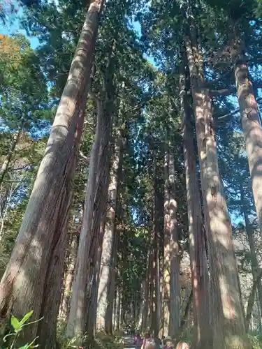 戸隠神社奥社(長野県)
