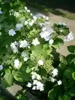 御霊神社の自然