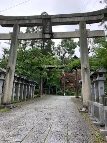 針綱神社の鳥居