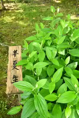 龍田大社(奈良県)