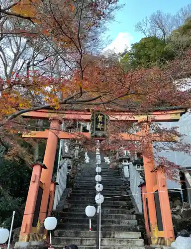 阿賀神社の鳥居