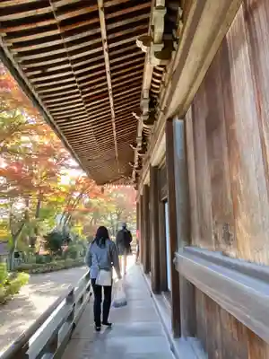 柳谷観音　楊谷寺(京都府)