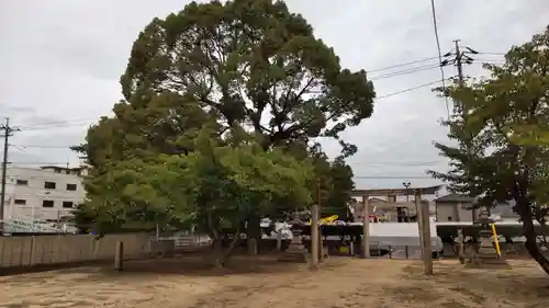 素盞鳴神社の建物その他