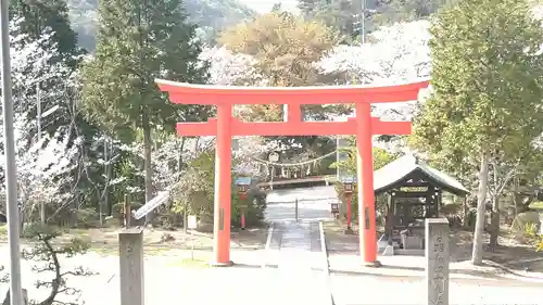 木華佐久耶比咩神社の鳥居