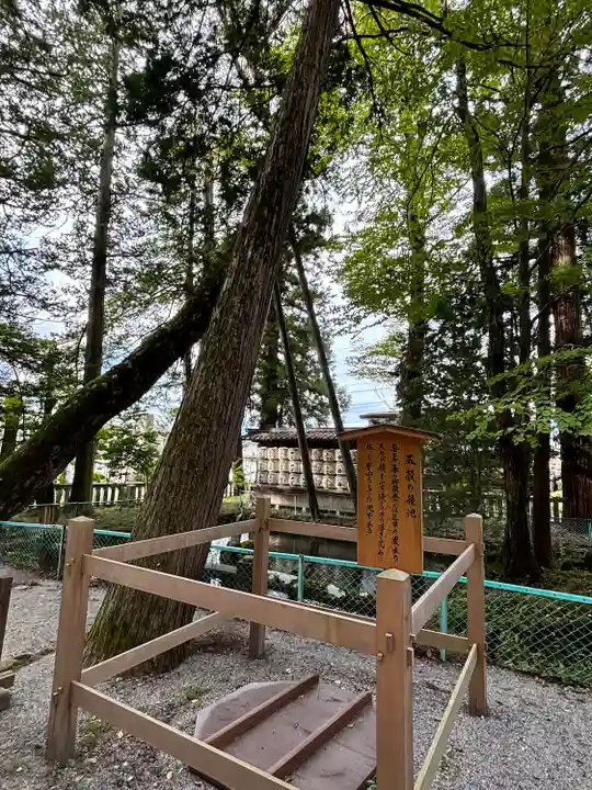 諏訪大社(長野県)