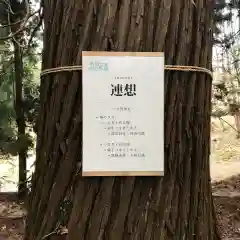 鹿島大神宮の建物その他