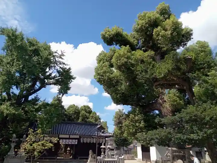 旭神社のその他建物