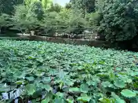 御髪神社(京都府)