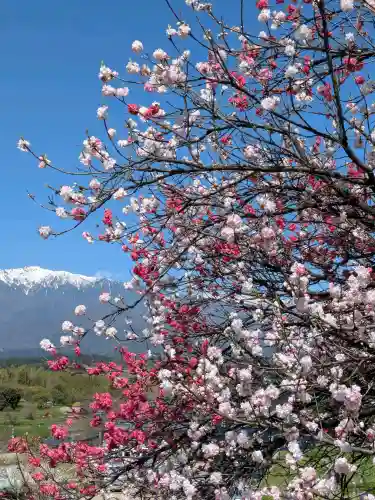 宝積山光前寺の{uncategorized: "未分類", other: "その他", undefined: "問題あり", building: "その他建物", grave: "お墓", sacred_gate: "鳥居", guardian: "狛犬", statue: "像", buddha: "仏像", history: "歴史", nature: "自然", garden: "庭園", animal: "動物", pagoda: "塔", temizu: "手水舎", mountain_gate: "山門・神門", sanctuary: "本殿・本堂", subordinate: "末社・摂社", art: "芸術", scenery: "景色", jizo: "地蔵", ema: "絵馬", goshuin: "御朱印", omikuji: "おみくじ", items: "授与品その他", amulet: "お守り", goshuincho: "御朱印帳", eats: "食事", festival: "お祭り", votive_dance: "神楽", shichigosan: "七五三参", wedding: "結婚式", experience: "体験その他", initially: "初詣", around: "周辺", anti_infection: "感染症対策"}