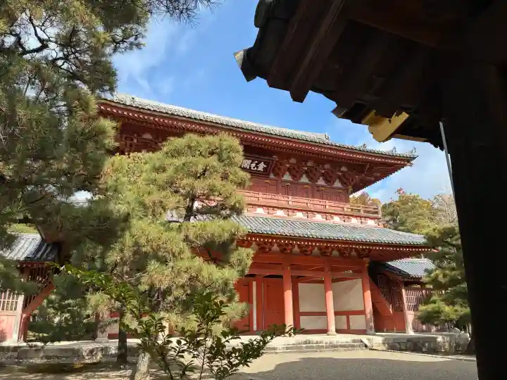 大徳寺の{uncategorized: "未分類", other: "その他", undefined: "問題あり", building: "その他建物", grave: "お墓", sacred_gate: "鳥居", guardian: "狛犬", statue: "像", buddha: "仏像", history: "歴史", nature: "自然", garden: "庭園", animal: "動物", pagoda: "塔", temizu: "手水舎", mountain_gate: "山門・神門", sanctuary: "本殿・本堂", subordinate: "末社・摂社", art: "芸術", scenery: "景色", jizo: "地蔵", ema: "絵馬", goshuin: "御朱印", omikuji: "おみくじ", items: "授与品その他", amulet: "お守り", goshuincho: "御朱印帳", eats: "食事", festival: "お祭り", votive_dance: "神楽", shichigosan: "七五三参", wedding: "結婚式", experience: "体験その他", initially: "初詣", around: "周辺", anti_infection: "感染症対策"}