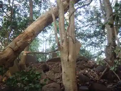 浅間神社のその他建物