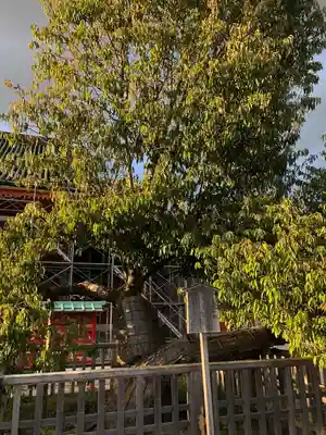 平安神宮(京都府)