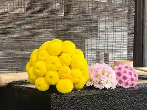 上尾御嶽神社の手水舎(2023年11月11日(土) 15時36分10秒投稿)