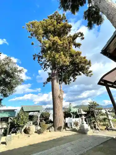 八咫神社(滋賀県)